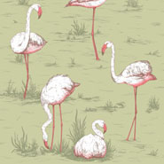 Flamingos (112-11038)